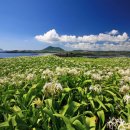 제1종합관광안내소 이미지