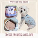 이스트 케이프 | 강아지 닭알러지 추천 지위픽 이스트케이프 캔 내돈내산 후기