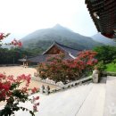 강과산이아름다운한옥펜션 이미지