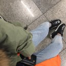 사보리라티노 이미지