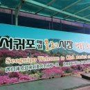 제주파인비치 카라반 이미지