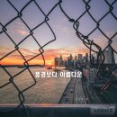 새풍경