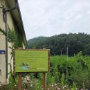 경북농장 | 아이가 좋아한 경북 체험농장,신덕리 콩콩팥팥 다녀온 후기