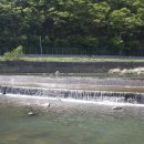 고도영 카카오 검색결과