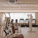 비벨라핏 이미지