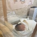 한아름어린이집 | 강남 조리원 추천 :: 개포동 한아름 산후조리원