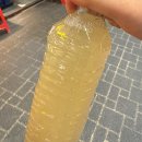 [여행] 부산 중구 / 부평깡통시장 / 깡통시장에서 맛있는 거 먹자