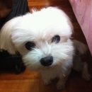 반포본동 이미지