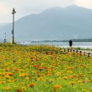 아침풍경 이미지