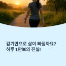 🚶‍♀️ 하루 1만보 걷기로 살 빠질까? 전문가가 말하는 효과적인 걷기 다이어트 완벽 가이드