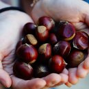 협성영농조합법인 이미지