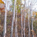 발화동길 이미지