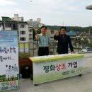평화상조 이미지