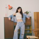 타미 이미지