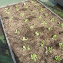 초록향기작은도서관 이미지