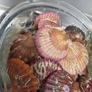 농수산길 | 매천시장 줄 너무 길어서 포기하고 간 곳, 나리네농수산 방문 후기