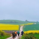 새마을로1L-40 | 산티아고 순례길 준비물 총정리｜체크리스트·트레킹화·배낭·침낭까지 꼭 챙기세요