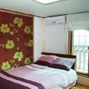 들국화 펜션 이미지