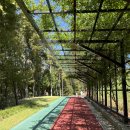 숲내음공원 이미지