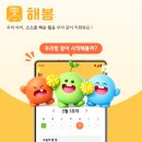 [스위프 후기] 6주간 진행된 앱 개발 '해봄'의 시작과 끝