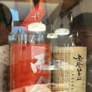 [오사카] 카메스시 대신 여기가면됨 : 사카에 스시 Sakae Sushi (숨은 메뉴랑 사장님 추천스시)