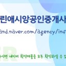 금빛수공인중개사사무소 이미지