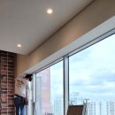 스파렉스 이미지