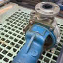 금강약품주식회사 이미지