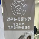 맑은눈 동물병원 이미지