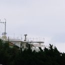 중앙동177 이미지