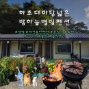 별빛하늘 | 하조대마당넓은밤하늘별빛펜션 101호 102호 숙박 후기 – 강아지와 함께한 힐링 여행