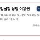 멍실장 이미지