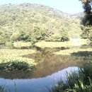 수연목장 이미지