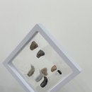 박진우 보청기·윤소희 청각재활센터 광주점 이미지