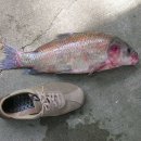 승모당구장 이미지