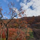 재포주유소 이미지