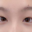 다교뷰티 이미지