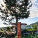 금일중학교생일분교장 이미지