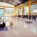 대구애견스쿨 이미지