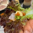 봉곡동100 | 창원 봉곡동 어판장 솔직후기 고급어종 3종세트로 즐긴 회 맛집 추천