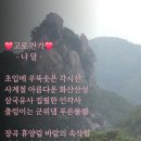 고로찬가 이미지