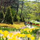 (주)브런치소프트 이미지