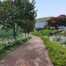 영인산자연휴양림 이미지