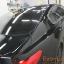 Evo-Luster 이미지