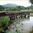 동대구농장 이미지