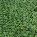 (주)좋은친구들 이미지