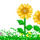 보광사 신중탱화 이미지