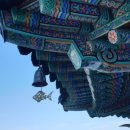 여수블라썸호텔 앤 카페 이미지