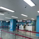 가파리 | 제주 가파도 배 예약 없이 부모님 여행 후기 (+코스모스)