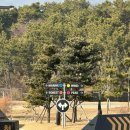 주식회사 커브 | 부산 가볼 만한 곳 | 기장 스카이라인루지 여행특공대 티켓 할인 구매 후기